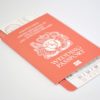 Travel Passport - Image 10