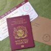 Travel Passport - Image 7