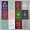 Travel Passport - Image 41