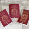 Travel Passport - Image 24
