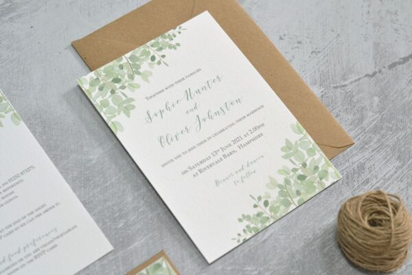 Eucalyptus - Image 2