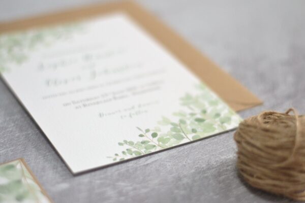 Eucalyptus - Image 3