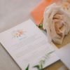 Coral Floral Burst - Image 19